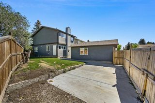 Photo 41: 344 Abinger Crescent NE in Calgary: Abbeydale Detached for sale : MLS®# A1224196