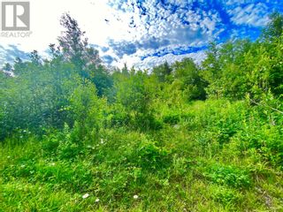 Photo 1: 0 Road to the Isles in Lewsiporte: Vacant Land for sale : MLS®# 1247559