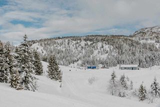 Photo 22: 46955 SNOWMIST Drive in Mission: Hemlock Land for sale in "HEMLOCK VALLEY" : MLS®# R2574029