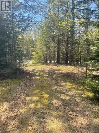Photo 8: 433 Shore Road in Breadalbane: Vacant Land for sale : MLS®# NB086598
