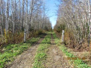 Photo 3: Cedar Street in Maitland: 105-East Hants/Colchester West Vacant Land for sale (Halifax-Dartmouth)  : MLS®# 202225538