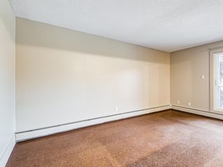 Photo 25: 202 1603 26 Avenue SW in Calgary: South Calgary Apartment for sale : MLS®# A1100163