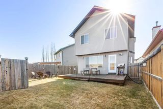 Photo 23: 151 Cranberry Way SE in Calgary: Cranston Detached for sale : MLS®# A1095750