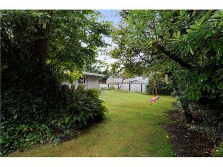 Photo 9: 578 W KINGS Road in North Vancouver: Upper Lonsdale House for sale : MLS®# V851575
