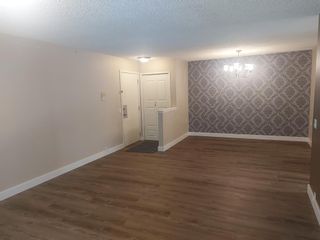 Photo 13: 528 10120 Brookpark Boulevard SW in Calgary: Braeside Apartment for sale : MLS®# A2046129