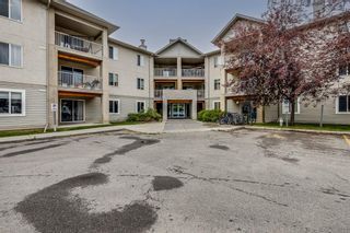 Photo 18: 205 3000 Citadel Meadow Point NW in Calgary: Citadel Apartment for sale : MLS®# A1240957