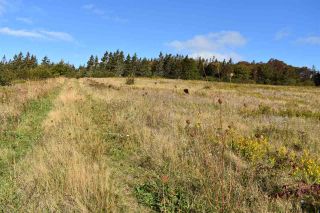 Photo 7: No 217 Highway in Centreville: 401-Digby County Vacant Land for sale (Annapolis Valley)  : MLS®# 201924593