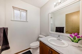 Photo 14: 341 Martindale Boulevard NE in Calgary: Martindale Detached for sale : MLS®# A2130179