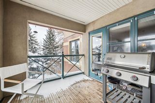 Photo 22: 203 1235 Cameron Avenue SW in Calgary: Lower Mount Royal Apartment for sale : MLS®# A2117945