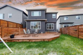 Photo 30: 18 Howse Terrace NE in Calgary: Livingston Detached for sale : MLS®# A2133570