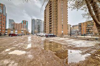 Photo 42: 105 733 14 Avenue SW in Calgary: Beltline Apartment for sale : MLS®# A2123336