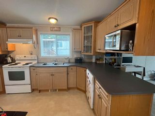 Photo 19: 19 9960 WILSON Street in Mission: Mission-West Manufactured Home for sale in "Ruskin Place" : MLS®# R2789469