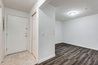 Photo 11: 3209 1620 70 Street SE in Calgary: Applewood Park Apartment for sale : MLS®# A1116068