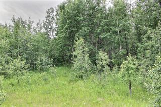 Photo 5: 33538 Rg RD 30: Rural Mountain View County Land for sale : MLS®# C4305650