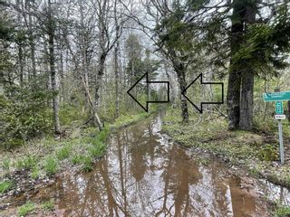Photo 5: Lot Hamilton Road in Garland: Kings County Vacant Land for sale (Annapolis Valley)  : MLS®# 202210806