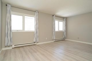 Photo 19: 630 Talbot Avenue in Winnipeg: East Elmwood Residential for sale (3B)  : MLS®# 202304907