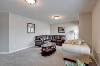 Photo 25: 34 Cranridge Terrace SE in Calgary: Cranston Detached for sale : MLS®# A1213366