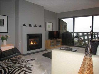 Photo 6: # 317 2366 WALL ST in Vancouver: Hastings Condo for sale (Vancouver East)  : MLS®# V1011485
