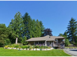 Photo 19: 21964 6TH AV in Langley: Campbell Valley House for sale : MLS®# F1417390