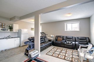 Photo 26: 250 Martinwood Place NE in Calgary: Martindale Detached for sale : MLS®# A1186078