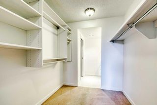 Photo 12: 7D 133 25 Avenue SW in Calgary: Mission Apartment for sale : MLS®# A2129364