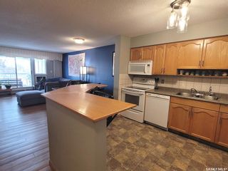 Photo 5: 317 960 Assiniboine Avenue East in Regina: University Park Residential for sale : MLS®# SK919889