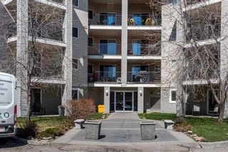 Photo 1: 4214 4975 130 Avenue SE in Calgary: McKenzie Towne Apartment for sale : MLS®# A2125583