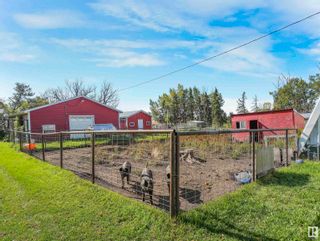Photo 14: A&B 48472 RGE RD 252: Rural Leduc County House for sale : MLS®# E4358349