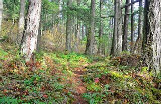Photo 51: .62 Acre North Saanich Property Zoned r-2