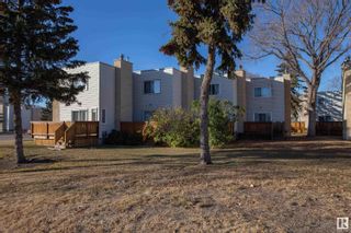 Photo 14: 7266 MILL WOODS Road S in Edmonton: Zone 29 Multi-Family Commercial for sale : MLS®# E4331811