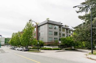 Photo 22: 214 1621 HAMILTON Avenue in North Vancouver: Mosquito Creek Condo for sale in "HEYWOOD ON THE PARK" : MLS®# R2880099