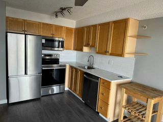 Photo 4: 423 1717 60 Street SE in Calgary: Red Carpet Apartment for sale : MLS®# A2124090