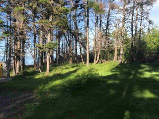 Photo 8: 1659 Fox Harbour Road in Fox Harbour: 102N-North Of Hwy 104 Vacant Land for sale (Northern Region)  : MLS®# 202118499