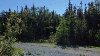 Photo 2: Lot 9 Walkerville Road in Walkerville: 305-Richmond County / St. Peters Vacant Land for sale (Highland Region)  : MLS®# 202319705