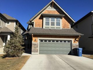 Photo 30: 134 AUBURN GLEN Way SE in Calgary: Auburn Bay House for sale : MLS®# C4167903