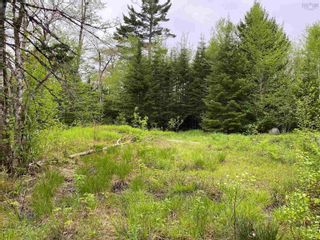 Photo 4: Lot 2 17 Mill Road Forks in Mount Uniacke: 105-East Hants/Colchester West Vacant Land for sale (Halifax-Dartmouth)  : MLS®# 202212137