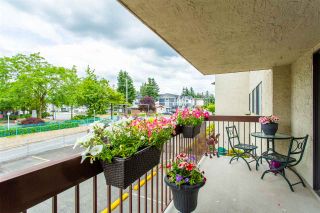 Photo 27: 231 31955 OLD YALE Road in Abbotsford: Abbotsford West Condo for sale in "EVERGREEN VILLAGE" : MLS®# R2477163
