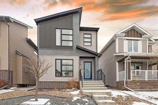 Main Photo: 116 Copperstone Drive SE in Calgary: Copperfield Detached for sale : MLS®# A2118836