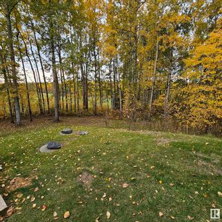 Photo 13: 7111 TWP RD 520: Rural Parkland County House for sale : MLS®# E4362182