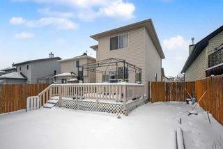 Photo 47: 2082 Bridlemeadows Manor SW in Calgary: Bridlewood Detached for sale : MLS®# A2117363
