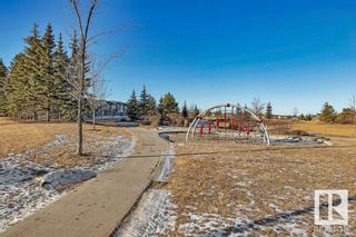 Photo 46: 4003 CHARLES Place in Edmonton: Zone 55 House for sale : MLS®# E4375180