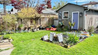Photo 17: 240 E 37TH Avenue in Vancouver: Main House for sale (Vancouver East)  : MLS®# R2876055