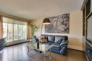 Photo 9: 302 1730 7 Street SW in Calgary: Lower Mount Royal Apartment for sale : MLS®# A2080352