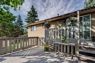 Photo 32: 644 RADCLIFFE Road SE in Calgary: Albert Park/Radisson Heights Detached for sale : MLS®# A1025632