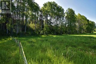 Photo 38: BOURGON ROAD in Smithers: Vacant Land for sale : MLS®# R2700048