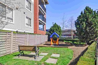 Photo 15: C307 8929 202 Street in Langley: Walnut Grove Condo for sale in "The Grove" : MLS®# R2375294