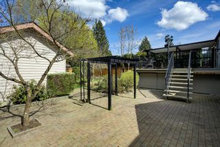 Photo 31: 21139 COOK Avenue in Maple Ridge: Southwest Maple Ridge House for sale : MLS®# R2711265