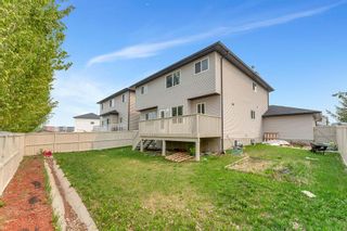 Photo 45: 30 Canals Circle SW: Airdrie Detached for sale : MLS®# A2050159