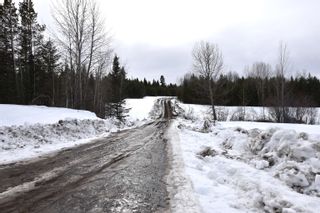 Photo 6: LOT 9553 LIKELY Road: 150 Mile House Land for sale (Williams Lake (Zone 27))  : MLS®# R2670859