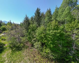 Photo 12: Lot C VICTORIA AVENUE in Kaslo: Vacant Land for sale : MLS®# 2476304